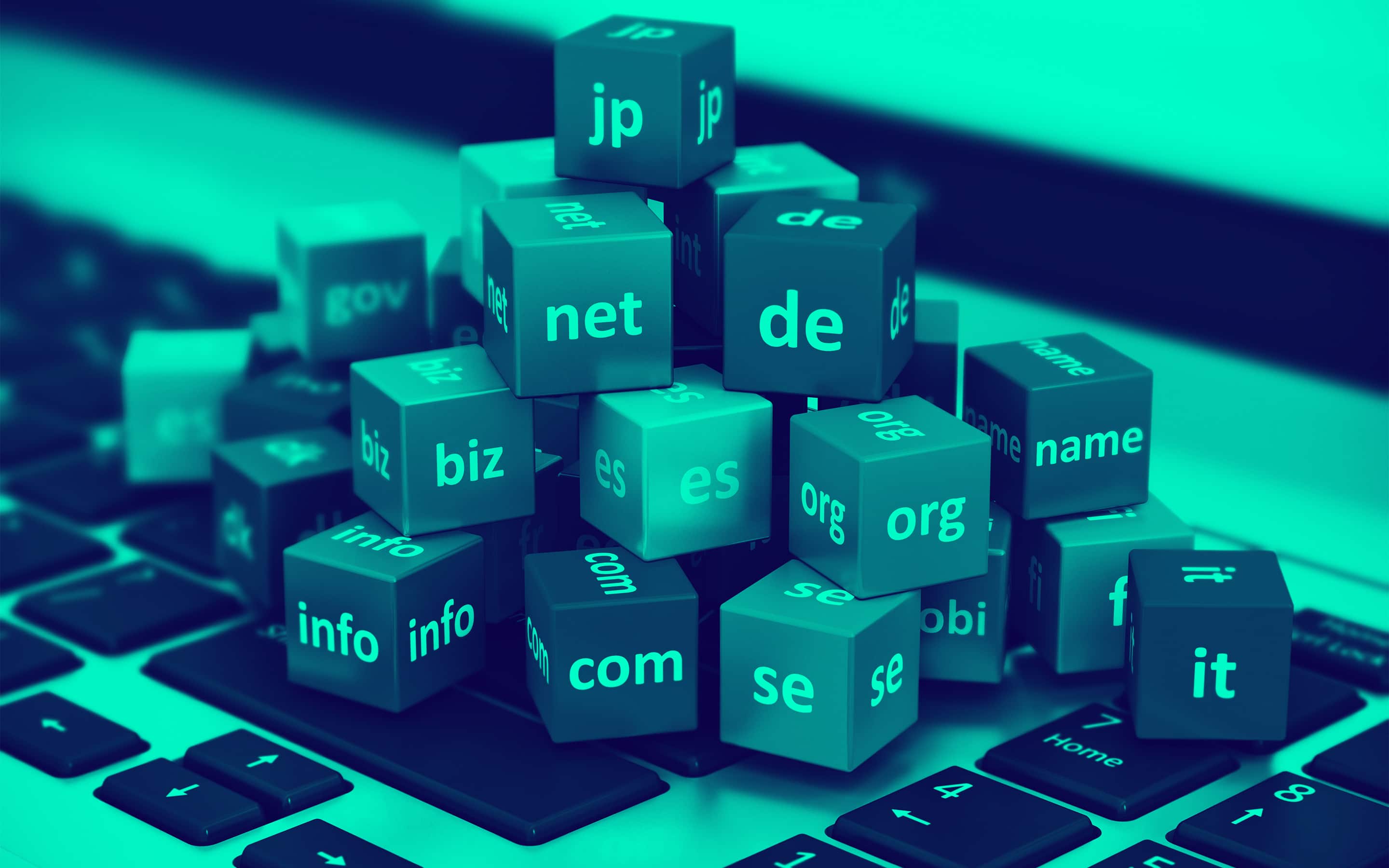 Domain name Extensions. Domain name. Biz meaning.