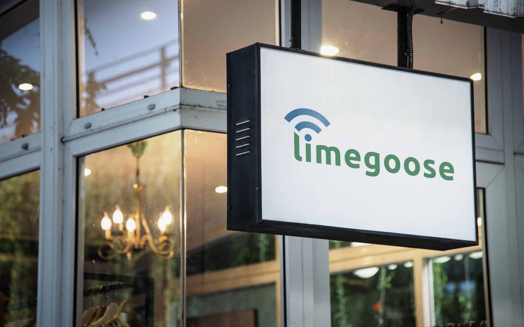 Limegoose3